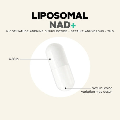 Liposomal NAD+