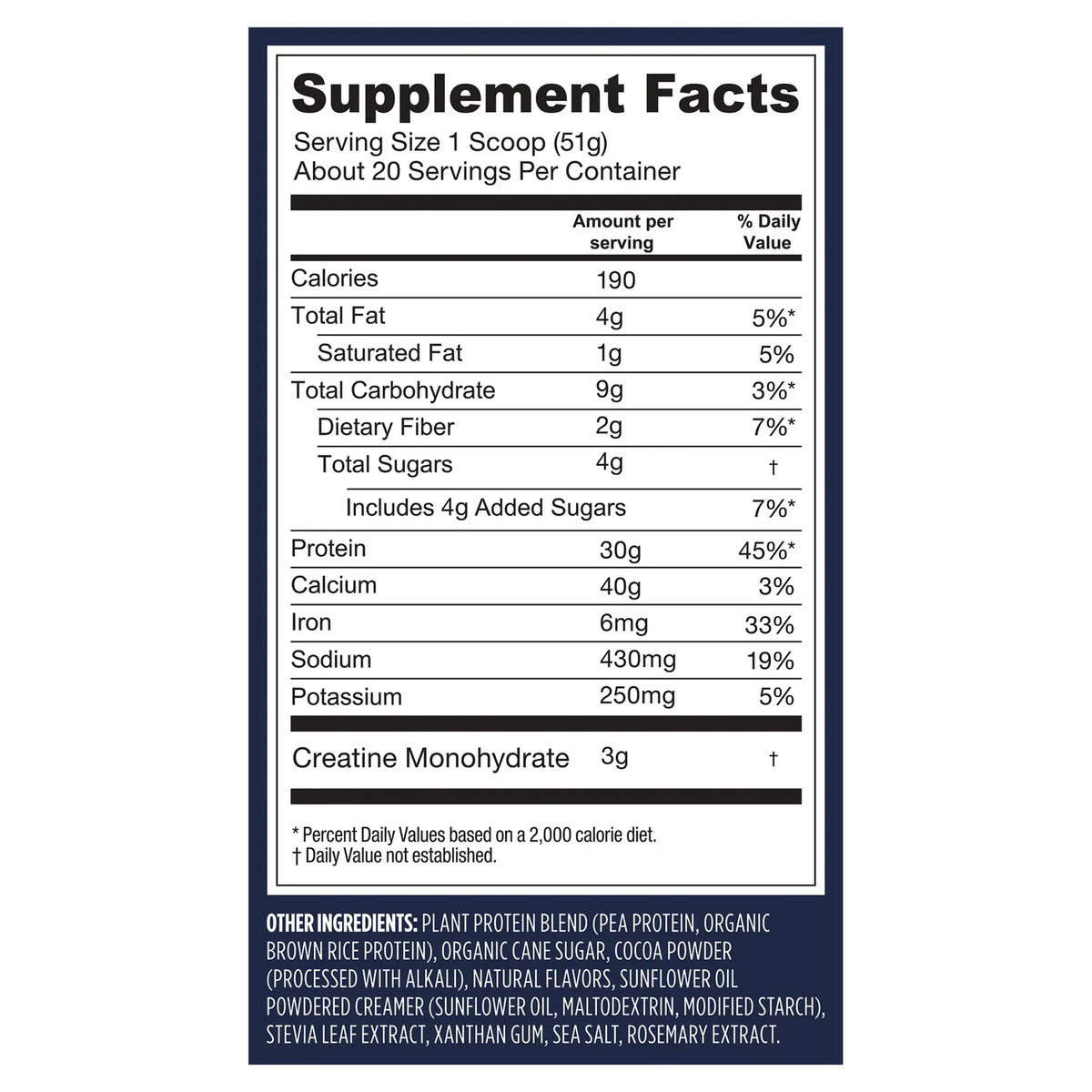 Protein + Creatine - Creamy Chocolate