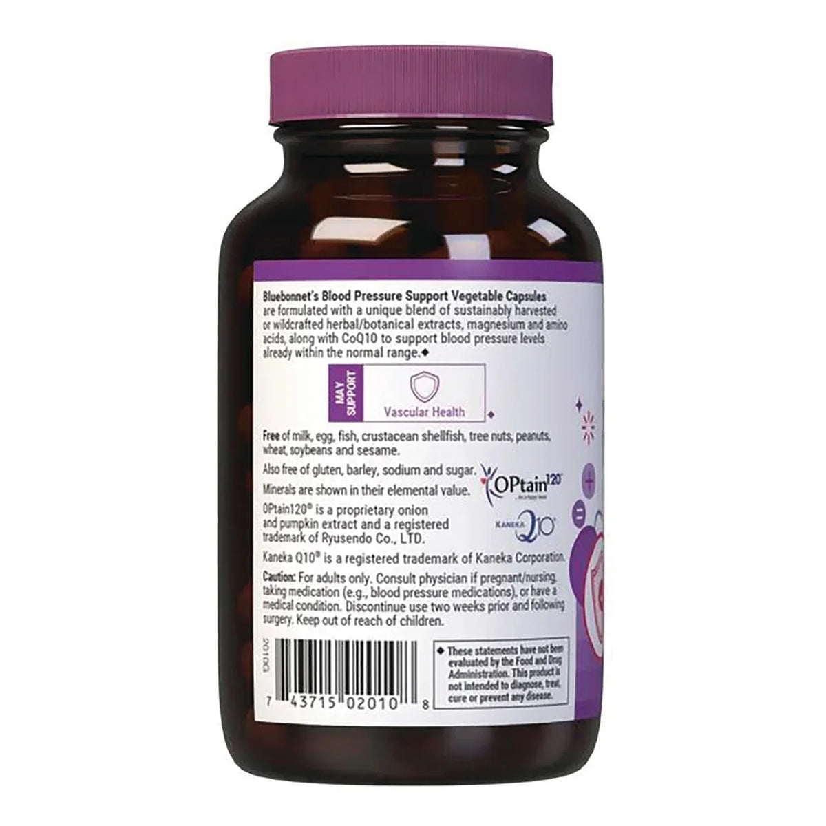 Blood Pressure Support