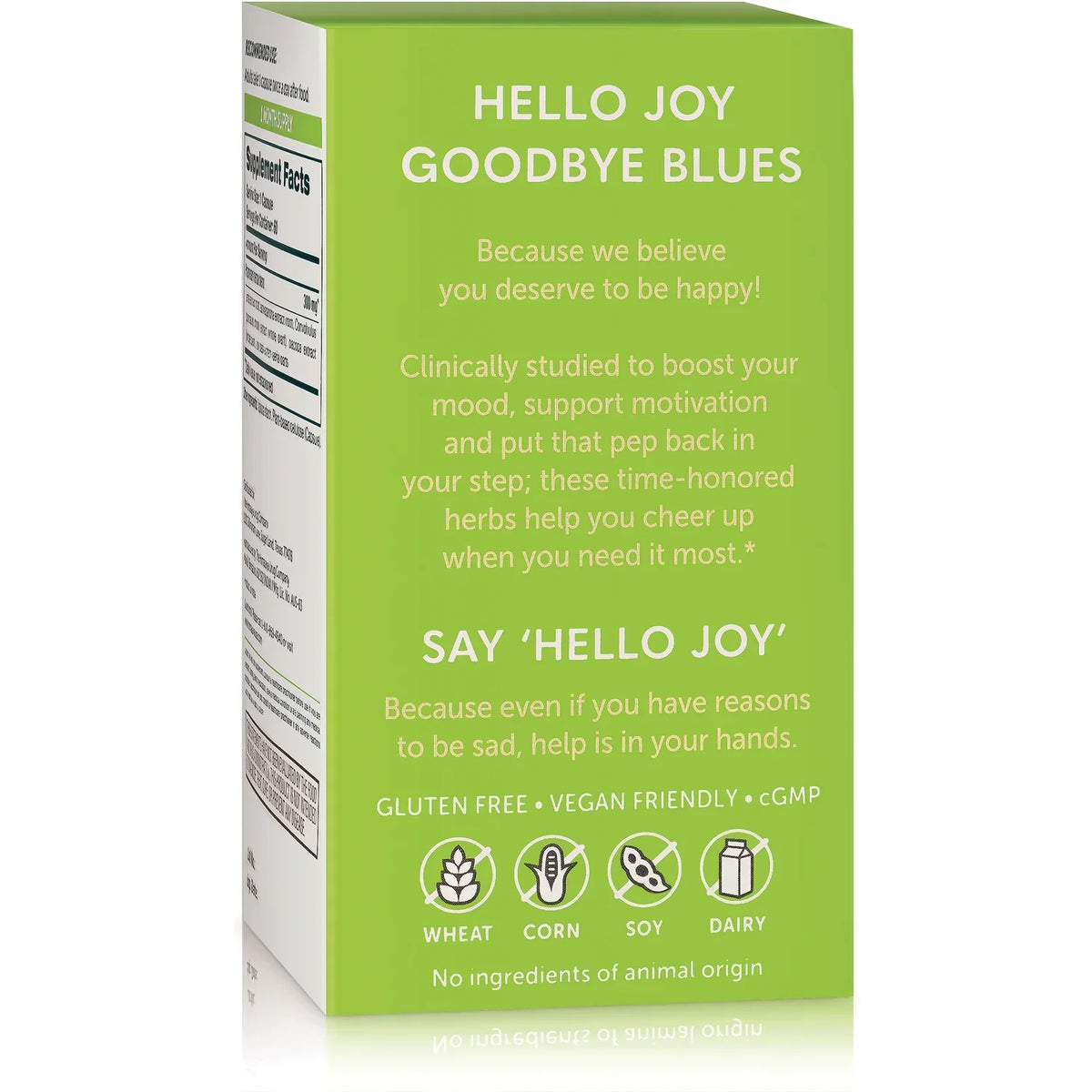 Hello Joy