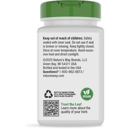 Schisandra Fruit